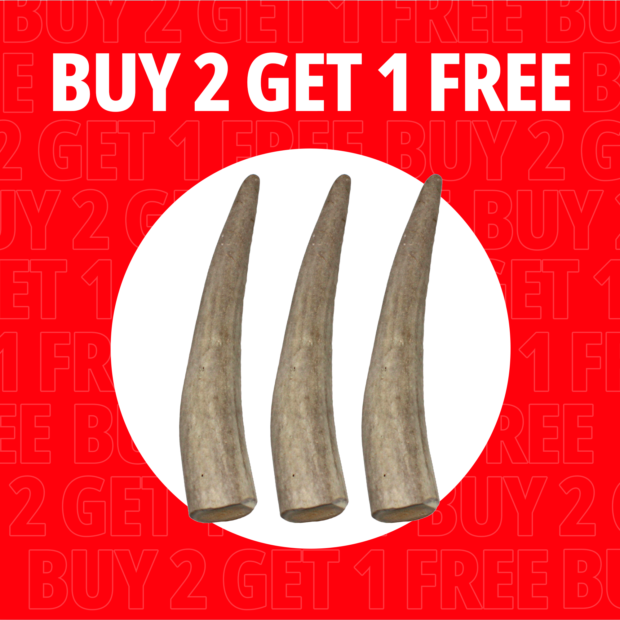 Small Antlers
